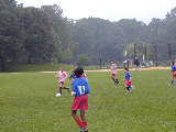 Click to see P9230075.JPG
